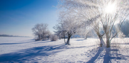 Winter Wonderland