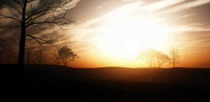 Sunrise Serenade